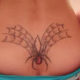Spider on tailbone