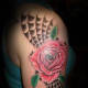Rose with two webs