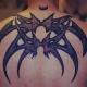 Stylized spider