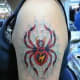 Horned spider