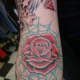 rose in green web