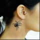 Spider under ear