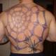 Full-back spiderweb