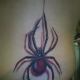 Black widow on thread