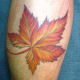 leaftreetattoodesignsgalleryphotos