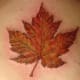 leaftreetattoodesignsgalleryphotos