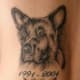 tattoo-ideas-pet-memorials