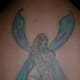 Fairy (before): Cute idea. Not the best quality.