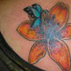 Butterfly (after): The same concept but bigger and bolder.