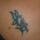 Butterfly (before): I happen to think this is a cute tattoo. But it is definitely faded and blurry.