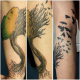 tree-tattoos-and-meanings-tree-tattoo-designs-and-ideas-tree-tattoo-pictures