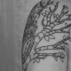 tree-tattoos-and-meanings-tree-tattoo-designs-and-ideas-tree-tattoo-pictures