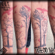 tree-tattoos-and-meanings-tree-tattoo-designs-and-ideas-tree-tattoo-pictures