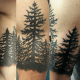 tree-tattoos-and-meanings-tree-tattoo-designs-and-ideas-tree-tattoo-pictures