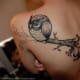 owl-tattoos-and-meanings-owl-tattoo-designs-and-ideas-owl-tattoo-pictures