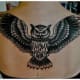 owl-tattoos-and-meanings-owl-tattoo-designs-and-ideas-owl-tattoo-pictures