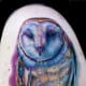 owl-tattoos-and-meanings-owl-tattoo-designs-and-ideas-owl-tattoo-pictures