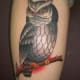 owl-tattoos-and-meanings-owl-tattoo-designs-and-ideas-owl-tattoo-pictures