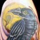raven-tattoos-and-meanings-raven-tattoo-designs-and-ideas-raven-tattoo-pictures