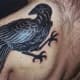 raven-tattoos-and-meanings-raven-tattoo-designs-and-ideas-raven-tattoo-pictures