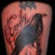 raven-tattoos-and-meanings-raven-tattoo-designs-and-ideas-raven-tattoo-pictures