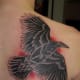 raven-tattoos-and-meanings-raven-tattoo-designs-and-ideas-raven-tattoo-pictures