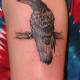 raven-tattoos-and-meanings-raven-tattoo-designs-and-ideas-raven-tattoo-pictures