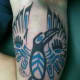 raven-tattoos-and-meanings-raven-tattoo-designs-and-ideas-raven-tattoo-pictures