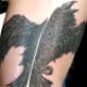 raven-tattoos-and-meanings-raven-tattoo-designs-and-ideas-raven-tattoo-pictures