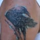 raven-tattoos-and-meanings-raven-tattoo-designs-and-ideas-raven-tattoo-pictures