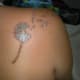 dandelion-tattoos-and-meanings-dandelion-tattoo-designs-and-ideas-dandelion-tattoo-images