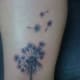 dandelion-tattoos-and-meanings-dandelion-tattoo-designs-and-ideas-dandelion-tattoo-images