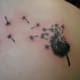 dandelion-tattoos-and-meanings-dandelion-tattoo-designs-and-ideas-dandelion-tattoo-images