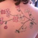 dogwood-flower-tattoos-and-designs-dogwood-flower-tattoo-meanings-and-ideas