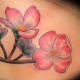 dogwood-flower-tattoos-and-designs-dogwood-flower-tattoo-meanings-and-ideas