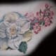 dogwood-flower-tattoos-and-designs-dogwood-flower-tattoo-meanings-and-ideas