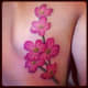 dogwood-flower-tattoos-and-designs-dogwood-flower-tattoo-meanings-and-ideas