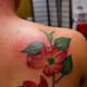 dogwood-flower-tattoos-and-designs-dogwood-flower-tattoo-meanings-and-ideas