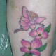 dogwood-flower-tattoos-and-designs-dogwood-flower-tattoo-meanings-and-ideas
