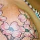 dogwood-flower-tattoos-and-designs-dogwood-flower-tattoo-meanings-and-ideas