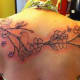 dogwood-flower-tattoos-and-designs-dogwood-flower-tattoo-meanings-and-ideas