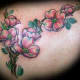 dogwood-flower-tattoos-and-designs-dogwood-flower-tattoo-meanings-and-ideas