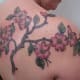 dogwood-flower-tattoos-and-designs-dogwood-flower-tattoo-meanings-and-ideas