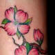 dogwood-flower-tattoos-and-designs-dogwood-flower-tattoo-meanings-and-ideas