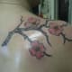 dogwood-flower-tattoos-and-designs-dogwood-flower-tattoo-meanings-and-ideas