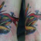 beta-fish-tattoos-and-designs-beta-fish-tattoo-meanings-and-ideas-fighting-fish-tattoos