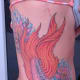 beta-fish-tattoos-and-designs-beta-fish-tattoo-meanings-and-ideas-fighting-fish-tattoos