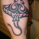 stingray-tattoos-and-designs-stingray-tattoo-meanings-tribal-stingray-tattoos-and-meanings