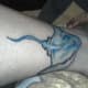 stingray-tattoos-and-designs-stingray-tattoo-meanings-tribal-stingray-tattoos-and-meanings
