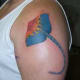 stingray-tattoos-and-designs-stingray-tattoo-meanings-tribal-stingray-tattoos-and-meanings